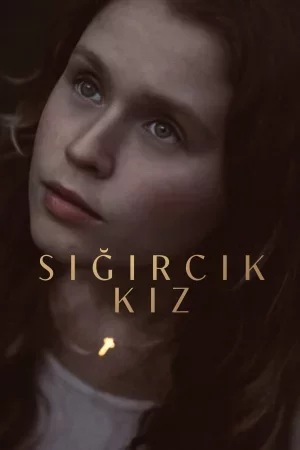 Sığırcık Kız Full HD İzle