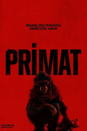 Primat Full HD İzle